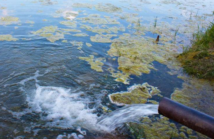 深圳市水質(zhì)檢測公司 深圳市水質(zhì)檢測公司