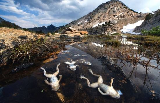 環(huán)境檢測機構(gòu) 環(huán)境檢測機構(gòu)