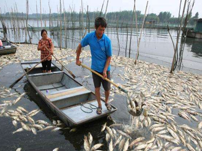 深圳水質(zhì)檢測(cè) 深圳水質(zhì)檢測(cè)