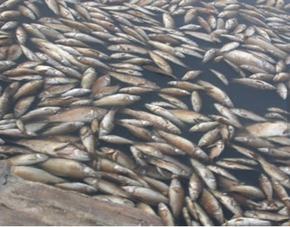 深圳水質(zhì)檢測 深圳水質(zhì)檢測