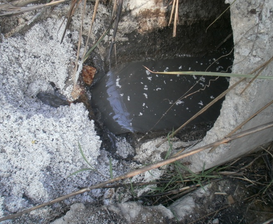 水質(zhì)檢測機構(gòu) 水質(zhì)檢測機構(gòu)