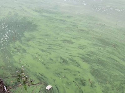 深圳水質(zhì)檢測機構(gòu) 深圳水質(zhì)檢測機構(gòu)