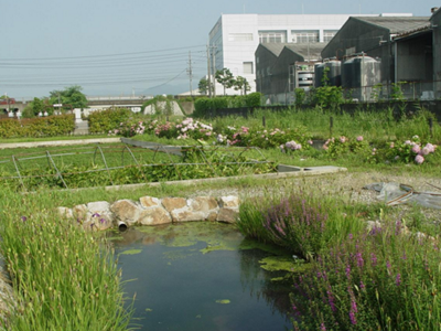 第三方水質檢測公司 第三方水質檢測公司